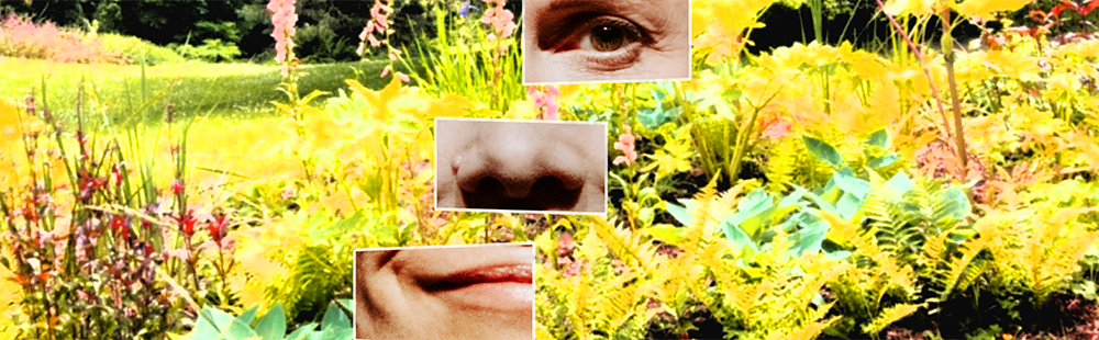 SHUKAYAKU_bandeau SHUKAYAKU_bandeau