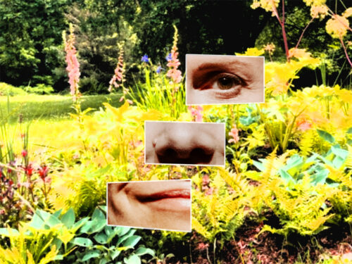 Shukayaku_affiche Shukayaku_affiche