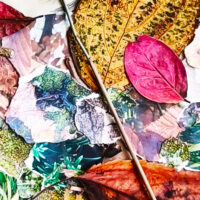 toile_zoom6 toile_zoom6